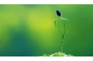 狐臭与季节之间有关系吗?