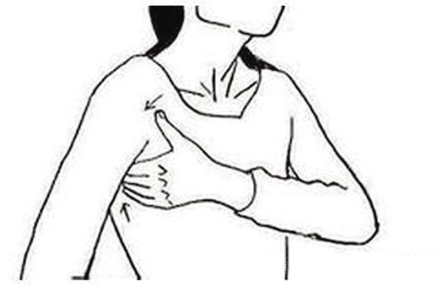 1519628476-790255.jpeg 20160807115313_6a2a2bc56acd7f51457b4ab9458b471c_5.jpeg