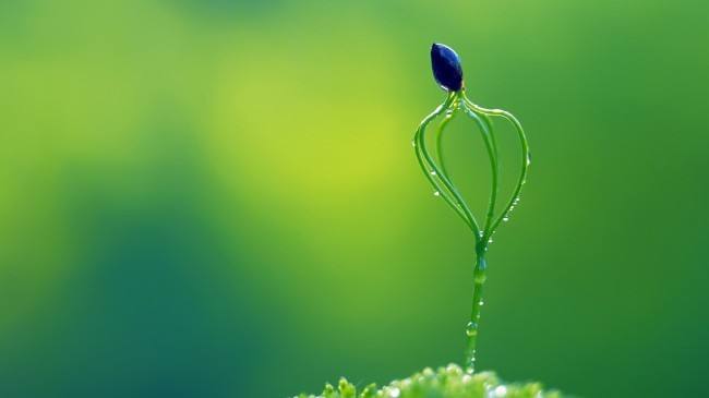 1523257436-960155.jpg timg.jpgdd.jpg