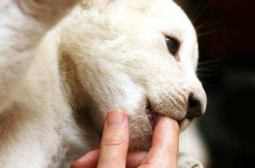 1526872169-220847.jpg timg.jpg走向成功.jpg