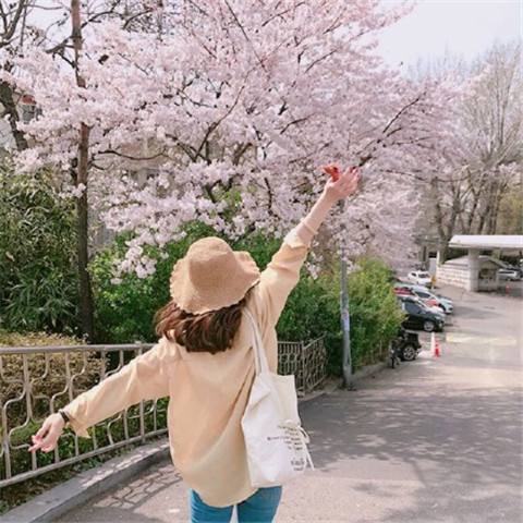 1585541745-263531.jpg timg (18).jpg